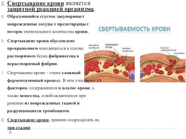 Свертывание крови является защитной реакцией организма. Образующийся сгусток закупоривает поврежденные