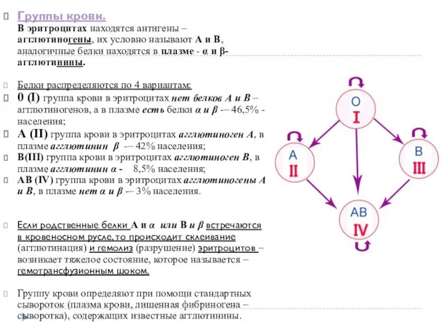 Группы крови. В эритроцитах находятся антигены – агглютиногены, их условно называют А и