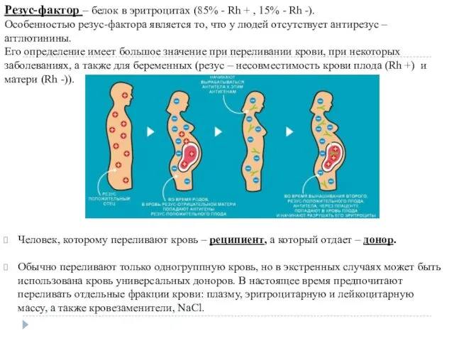 Человек, которому переливают кровь – реципиент, а который отдает – донор. Обычно переливают