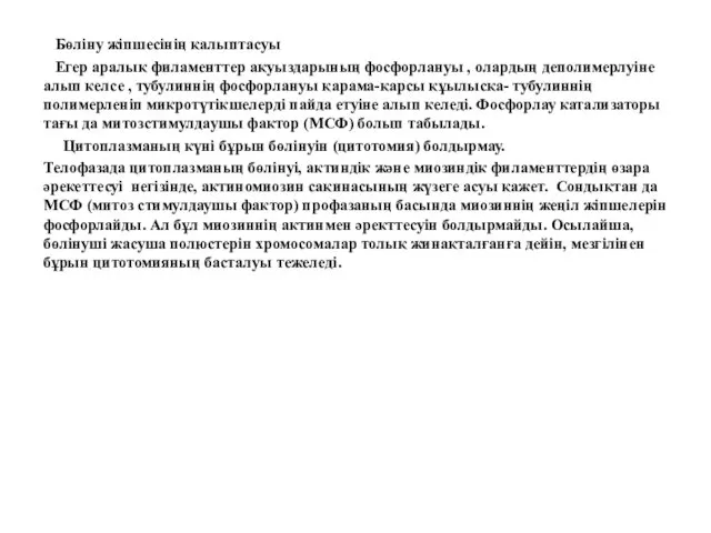 Бөліну жіпшесінің қалыптасуы Егер аралық филаменттер ақуыздарының фосфорлануы , олардың