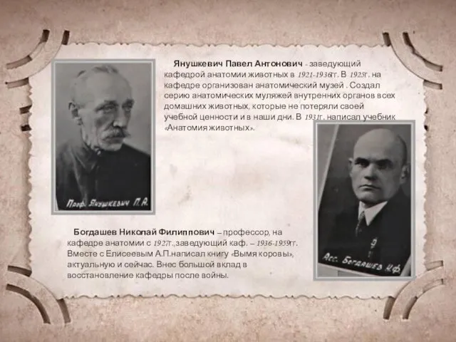 Янушкевич Павел Антонович - заведующий кафедрой анатомии животных в 1921-1936гг.