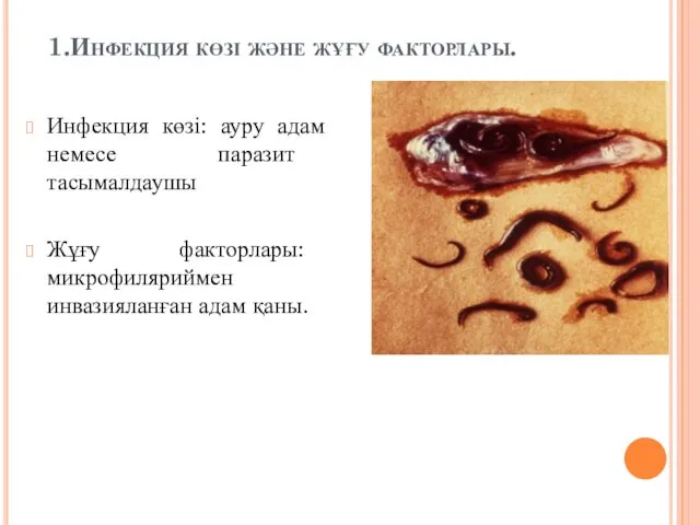 1.Инфекция көзі және жұғу факторлары. Инфекция көзі: ауру адам немесе