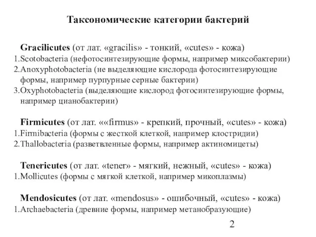 Таксономические категории бактерий Gracilicutes (от лат. «gracilis» - тонкий, «cutes»