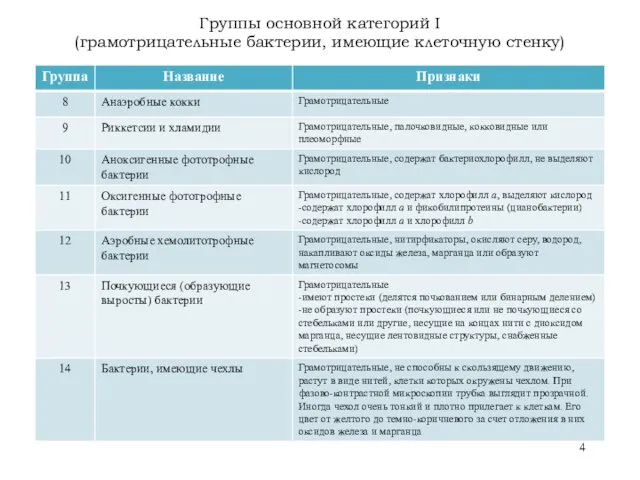 Группы основной категорий I (грамотрицательные бактерии, имеющие клеточную стенку)