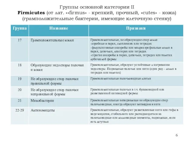 Группы основной категории II Firmicutes (от лат. ««firmus» - крепкий,