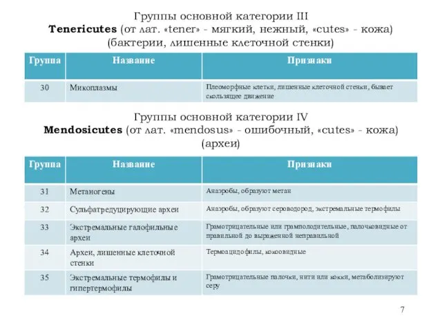 Группы основной категории III Tenericutes (от лат. «tener» - мягкий,