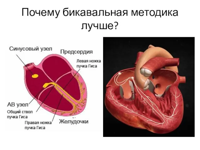 Почему бикавальная методика лучше?