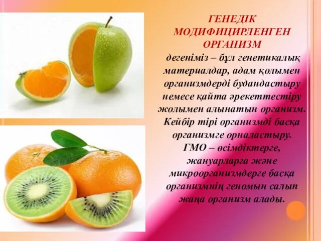 ГЕНЕДІК МОДИФИЦИРЛЕНГЕН ОРГАНИЗМ дегеніміз – бұл генетикалық материалдар, адам қолымен