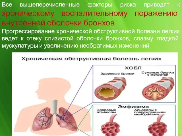 Все вышеперечисленные факторы риска приводят к хроническому воспалительному поражению внутренней