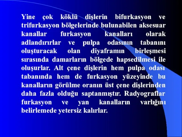 Yine çok köklü dişlerin bifurkasyon ve trifurkasyon bölgelerinde bulunabilen aksesuar