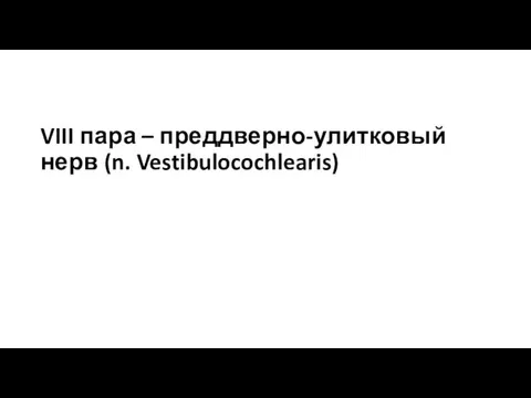 VIII пара – преддверно-улитковый нерв (n. Vestibulocochlearis)