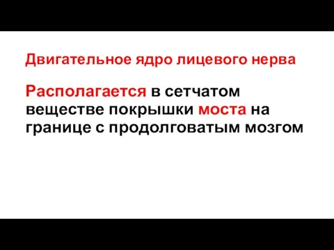 Двигательное ядро лицевого нерва Располагается в сетчатом веществе покрышки моста на границе с продолговатым мозгом