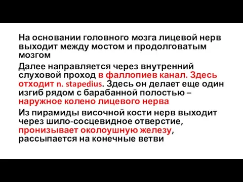 На основании головного мозга лицевой нерв выходит между мостом и