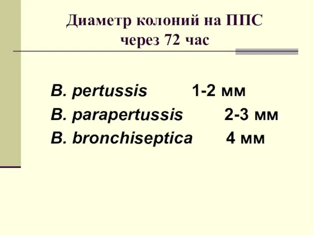 Диаметр колоний на ППС через 72 час B. pertussis 1-2