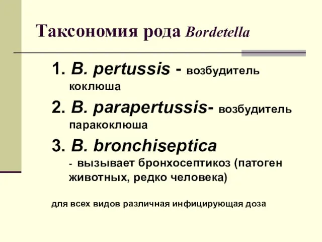 Таксономия рода Bordetella 1. B. pertussis - возбудитель коклюша 2.