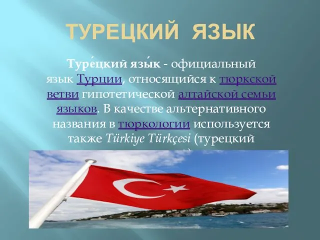 ТУРЕЦКИЙ ЯЗЫК Туре́цкий язы́к - официальный язык Турции, относящийся к