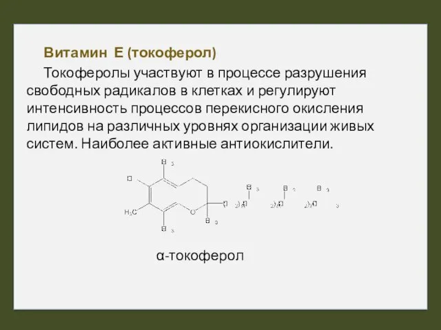 Витамин Е (токоферол) Токоферолы участвуют в процессе разрушения свободных радикалов