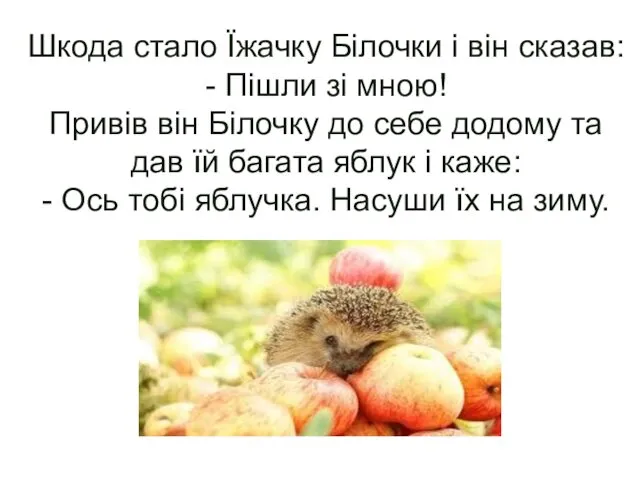 Шкода стало Їжачку Білочки і він сказав: - Пішли зі