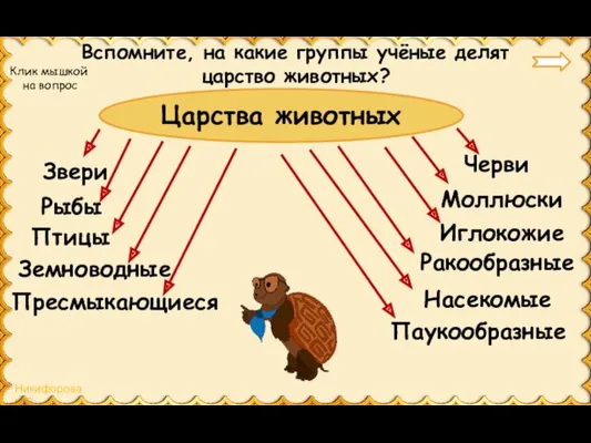 Царства животных Земноводные Рыбы Пресмыкающиеся Звери Вспомните, на какие группы учёные делят царство