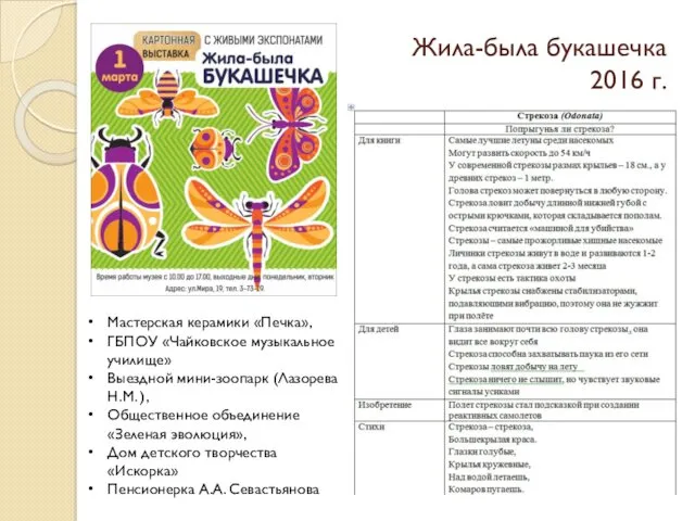 Жила-была букашечка 2016 г. Мастерская керамики «Печка», ГБПОУ «Чайковское музыкальное училище» Выездной мини-зоопарк