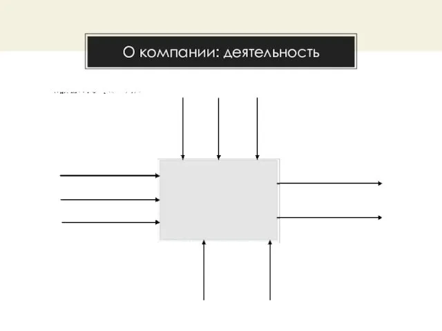 О компании: деятельность