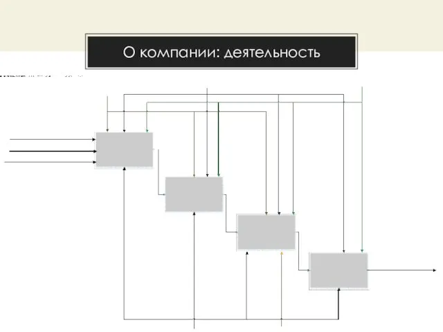 О компании: деятельность