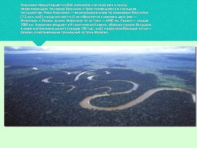 Амазонка представляет собой огромную систему рек и лесов, пересекающую половину Бразилии и простирающуюся
