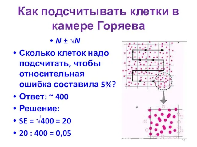 Как подсчитывать клетки в камере Горяева N ± √N Сколько