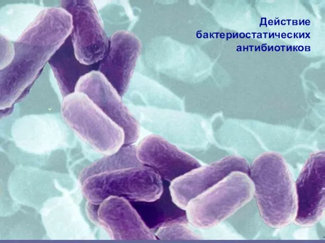 Действие бактериостатических антибиотиков
