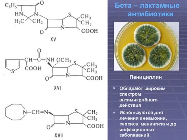 Бета – лактамные антибиотики Пенициллин Обладают широким спектром антимикробного действия