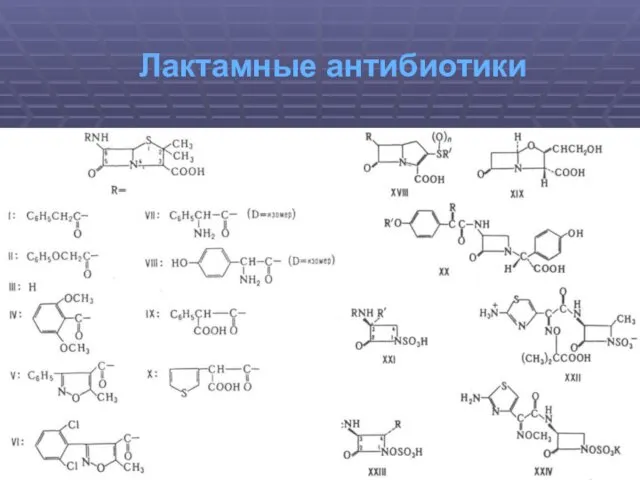 Лактамные антибиотики