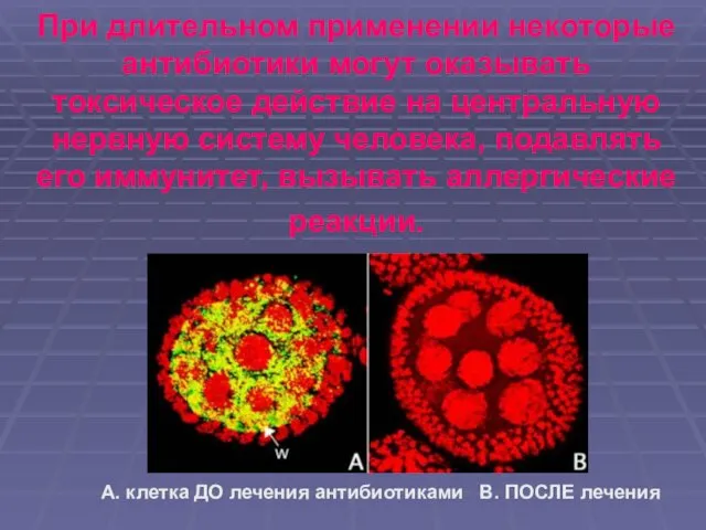 При длительном применении некоторые антибиотики могут оказывать токсическое действие на центральную нервную систему