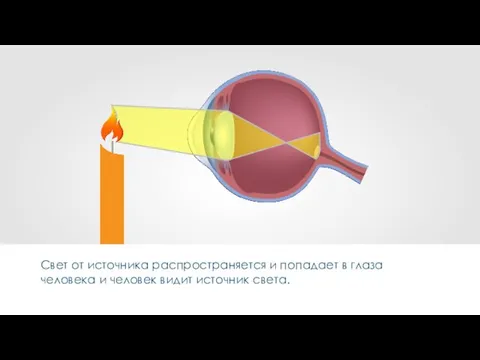 Cвет от источника распространяется и попадает в глаза человека и человек видит источник света.