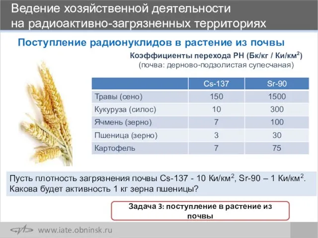 Поступление радионуклидов в растение из почвы Коэффициенты перехода РН (Бк/кг