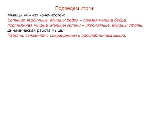 Мышцы нижних конечностей: Большие ягодичные. Мышцы бедра – прямая мышца