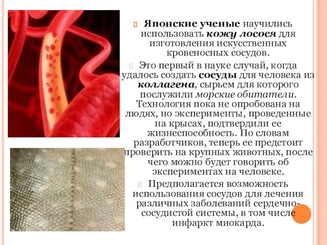 Японские ученые научились использовать кожу лосося для изготовления искусственных кровеносных