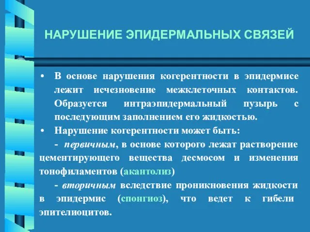 В основе нарушения когерентности в эпидермисе лежит исчезновение межклеточных контактов.