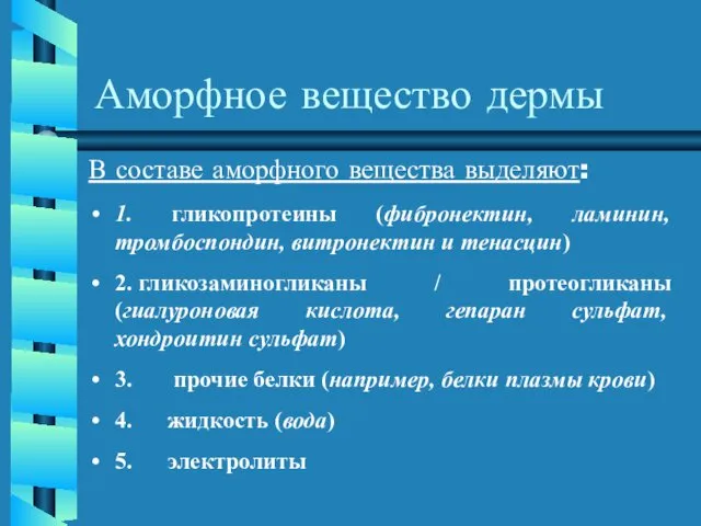 Аморфное вещество дермы В составе аморфного вещества выделяют: 1. гликопротеины