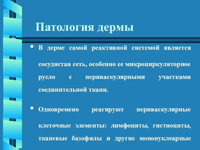 В дерме самой реактивной системой является сосудистая сеть, особенно ее