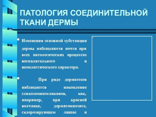 ПАТОЛОГИЯ СОЕДИНИТЕЛЬНОЙ ТКАНИ ДЕРМЫ Изменения основной субстанции дермы наблюдаются почти