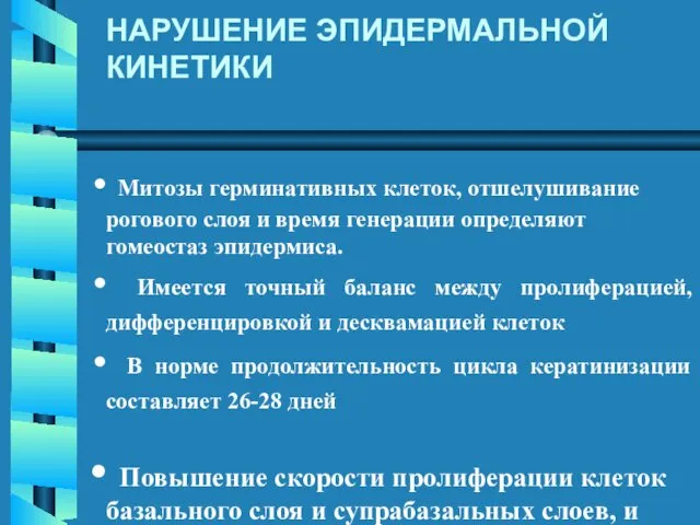 НАРУШЕНИЕ ЭПИДЕРМАЛЬНОЙ КИНЕТИКИ Митозы герминативных клеток, отшелушивание рогового слоя и