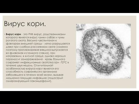 Вирус кори. Вирус кори - это РНК-вирус, родственниками которого является