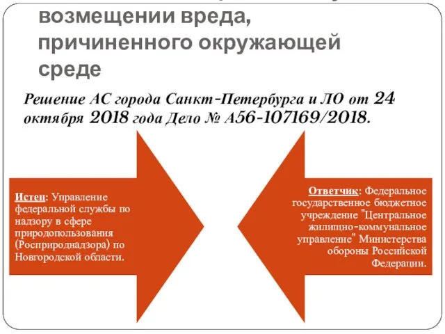 Положительное решение суда о возмещении вреда, причиненного окружающей среде Решение