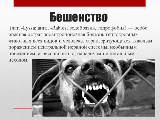 Бешенство (лат. -Lyssa; англ. -Rabies; водобоязнь, гидрофобия) — особо опасная