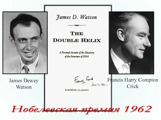 Francis Harry Compton Crick James Dewey Watson Нобелевская премия 1962