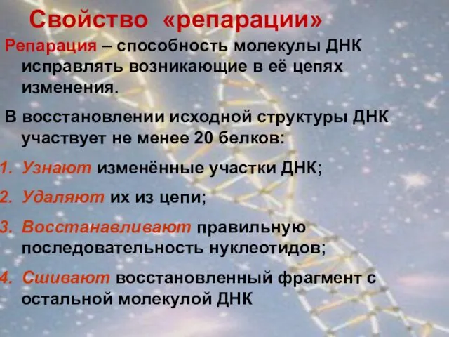 Свойство «репарации» Репарация – способность молекулы ДНК исправлять возникающие в