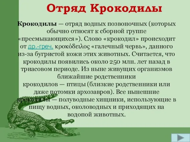 Отряд Крокодилы Крокодилы — отряд водных позвоночных (которых обычно относят