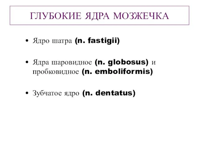 ГЛУБОКИЕ ЯДРА МОЗЖЕЧКА Ядро шатра (n. fastigii) Ядра шаровидное (n.