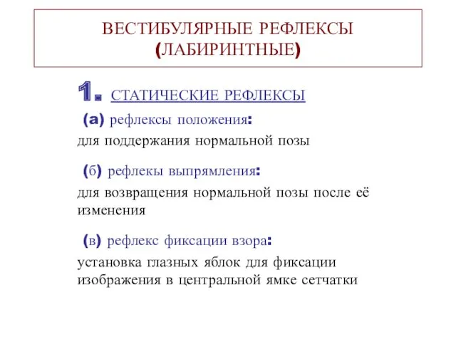 ВЕСТИБУЛЯРНЫЕ РЕФЛЕКСЫ (ЛАБИРИНТНЫЕ) 1. СТАТИЧЕСКИЕ РЕФЛЕКСЫ (a) рефлексы положения: для