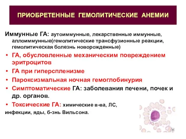 ПРИОБРЕТЕННЫЕ ГЕМОЛИТИЧЕСКИЕ АНЕМИИ Иммунные ГА: аутоиммунные, лекарственные иммунные, аллоиммунные(гемолитические трансфузионные